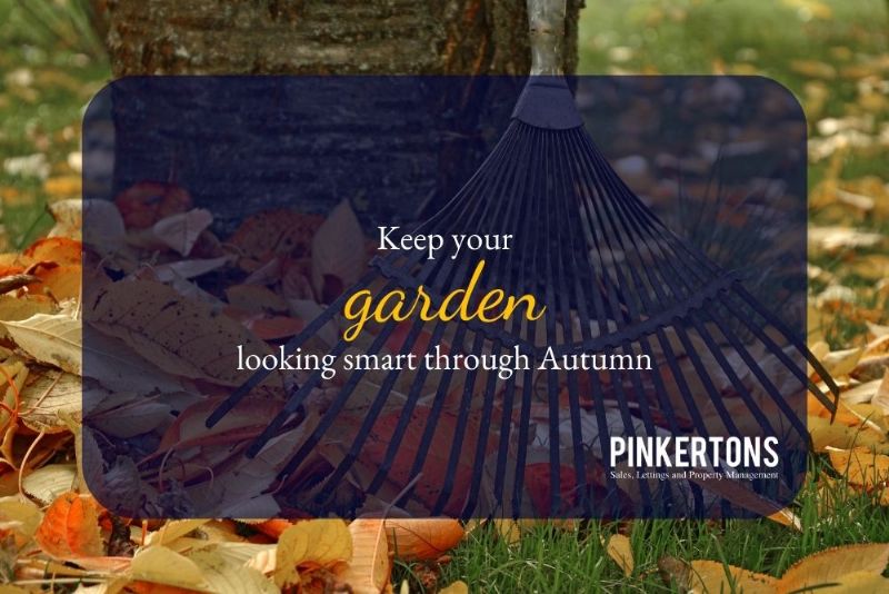 Keep your garden looking smart through Autumn